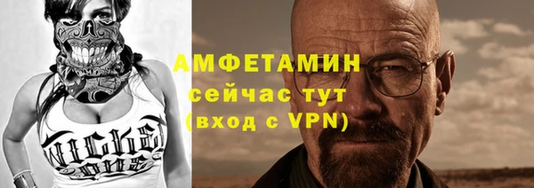 индика Алексин