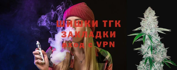 ПСИЛОЦИБИНОВЫЕ ГРИБЫ Алзамай