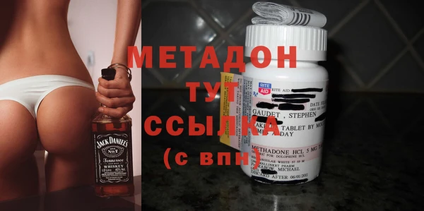 индика Алексин