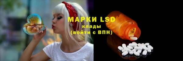 индика Алексин