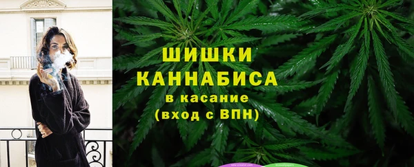 ПСИЛОЦИБИНОВЫЕ ГРИБЫ Алзамай