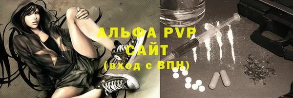 индика Алексин
