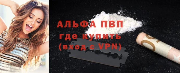 индика Алексин