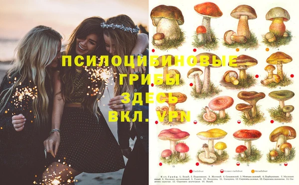 индика Алексин
