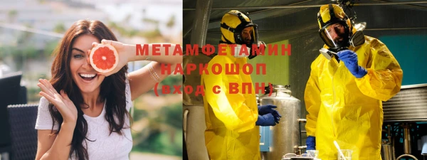 индика Алексин